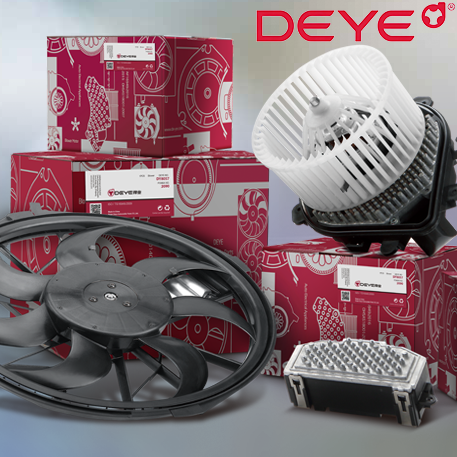 Fan